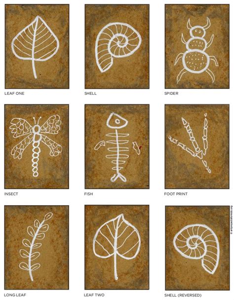 easy to draw fossils.